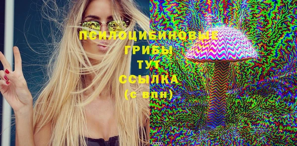 марки lsd Абаза